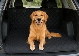 dog car protector